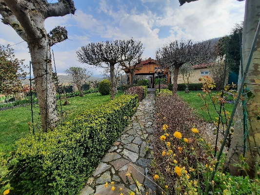 Imagen de la oferta inmobiliaria